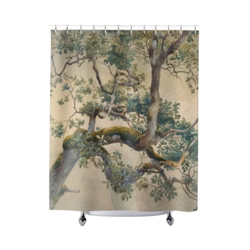 shower curtain